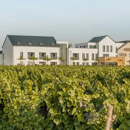 Zeit Bei Sauerweins Palzem